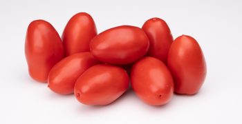 <strong>MedHermes </strong>launches Forentum, the elongated industrial tomato