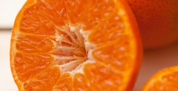 Slight drop in Brazil’s orange production