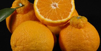 South Korean mandarin exports hit by war in Ukraine