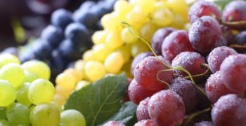 Uzbekistan grape exports hit record high