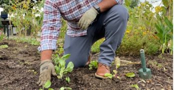 USDA pesticide data shows positive results