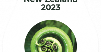 New Zealand warms up for World Avocado Congress