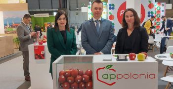Europe’s 2022 <strong>apple crop increases</strong> just 1%