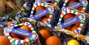 Siciliy’s citrus campaign <strong>at risk</strong>