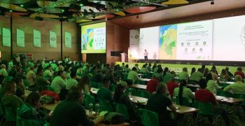 Territorio Aguacate 2022 attracts <strong>record attendance</strong>