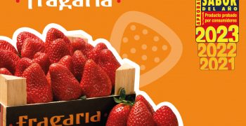Fragaria selected by consumers as Flavour of the Year for third consecutive year