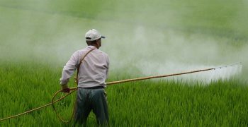 Costa Rica signs decree to modernise registration of agrochemicals