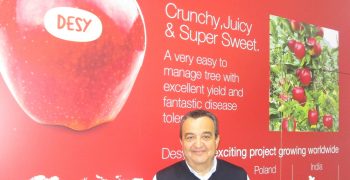 CIV variety innovation in Berlin Fruit Logistica 2023 with the new apple CIVM65*/Desy® and the latest selections of strawberries