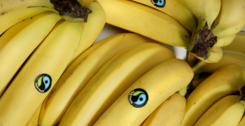 Fairtrade awarded “Superbrand” status