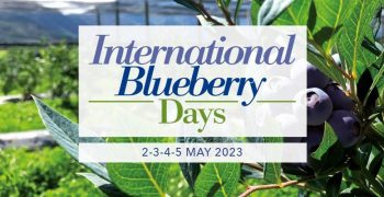 International Blueberry Days Program: Preview of Global Players at Macfrut 2023