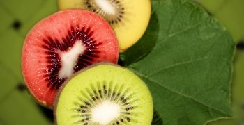 Fall in New Zealand’s kiwifruit exports 