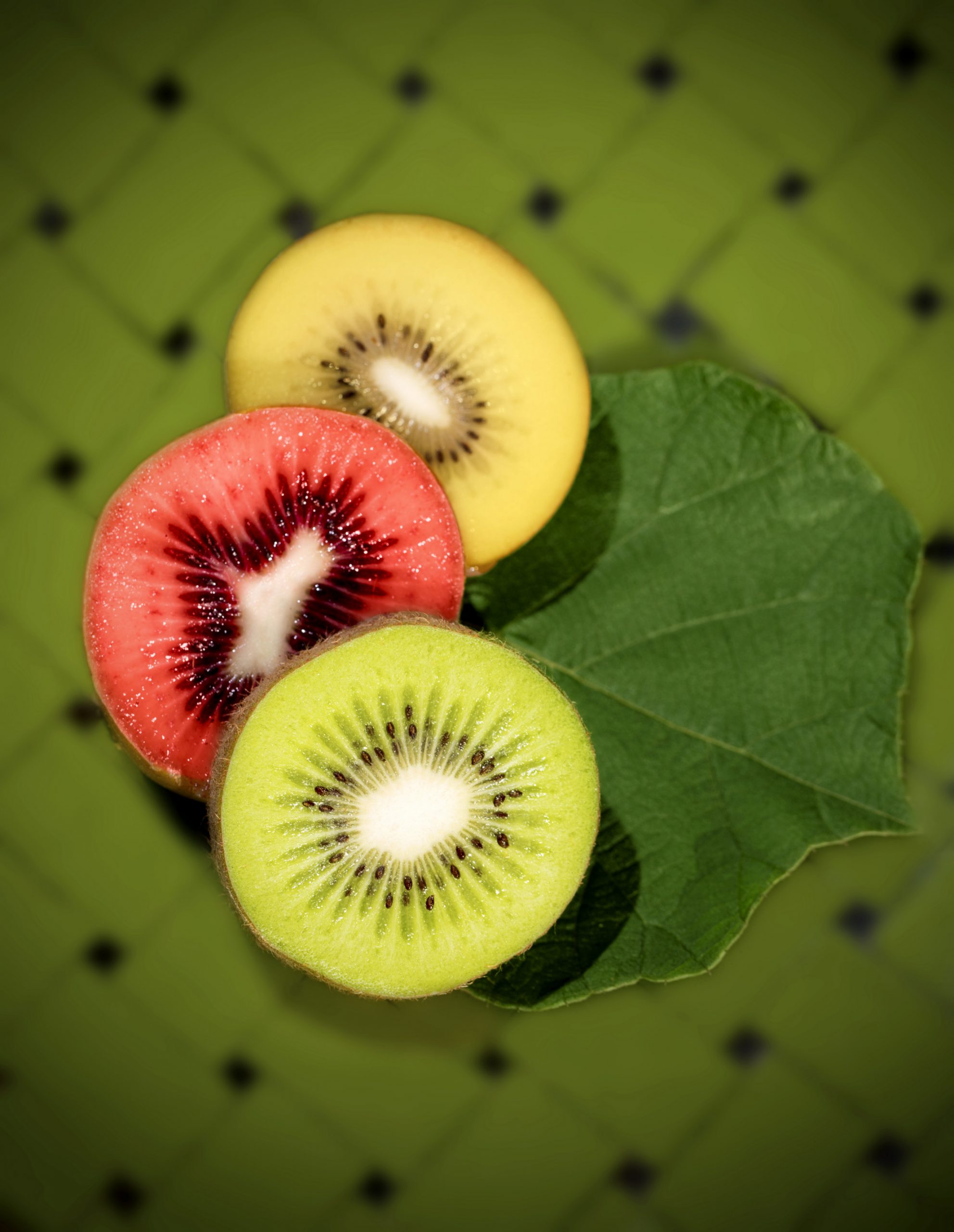 Organic Kiwifruit from New Zealand on the Rise