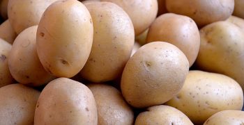 Spanish farmers warn of fraudulent retail practices with new potatoes 