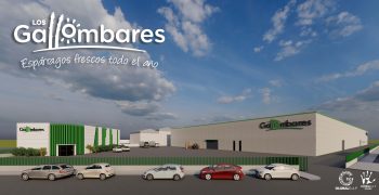 Los Gallombares strengthens leadership position in green asparagus with more production and new sustainable facilities