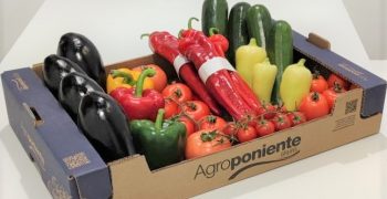 Agroponiente, new 100% recyclable and sustainable packaging and 17% compostable