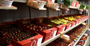 Belgian producers ready to solve UK vegetable shortage if price is right