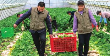 China seeks to strengthen food stability
