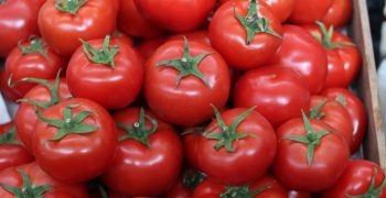 Turkey ends ban on tomato exports