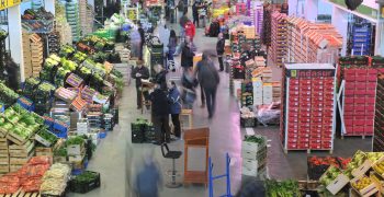 Rise in Spain’s fresh produce imports 