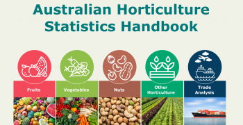 Australian horticulture exports on road to recovery
