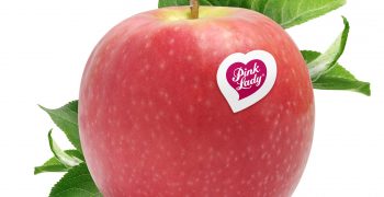 Pink Lady and Kanzi lead world apple market