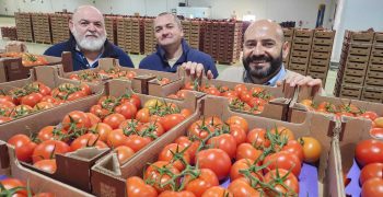 Vegacañada continues to grow despite a general drop in production across the sector
