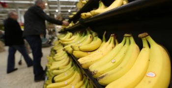 Ecuador seeking to lower banana import tariffs in Asia
