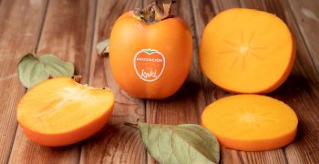 Spanish persimmon gains access to Chinese market 