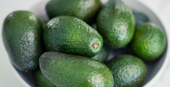 Weather ravages Chile’s avocado crop