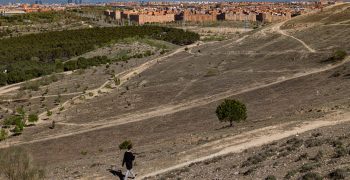 Drought delays plantings in Mediterranean