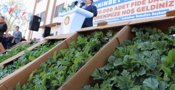 Farmers in Turkey’s earthquake-hit region receive 11.5 million seedlings