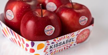 Kissabel® apples, harvesting gets under way in the Southern Hemisphere: first samplings and new tests scheduled
