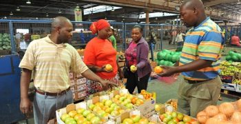 Investigation into South African fresh produce gets underway
