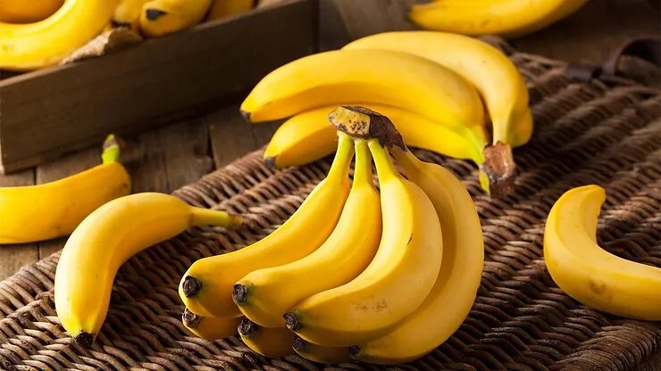 Steady growth of Ecuador banana shipments