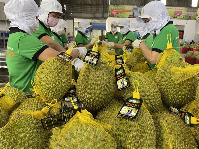 Booming fruit trade at China-Vietnam Youyi border post 