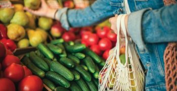 Freshfel warns of implications of proposed marketing standards for pre-cut fruit and veg