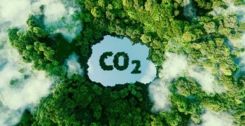More efforts needed to achieve carbon neutrality, say MEPs