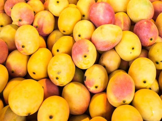 Good Pakistan mango crop expected