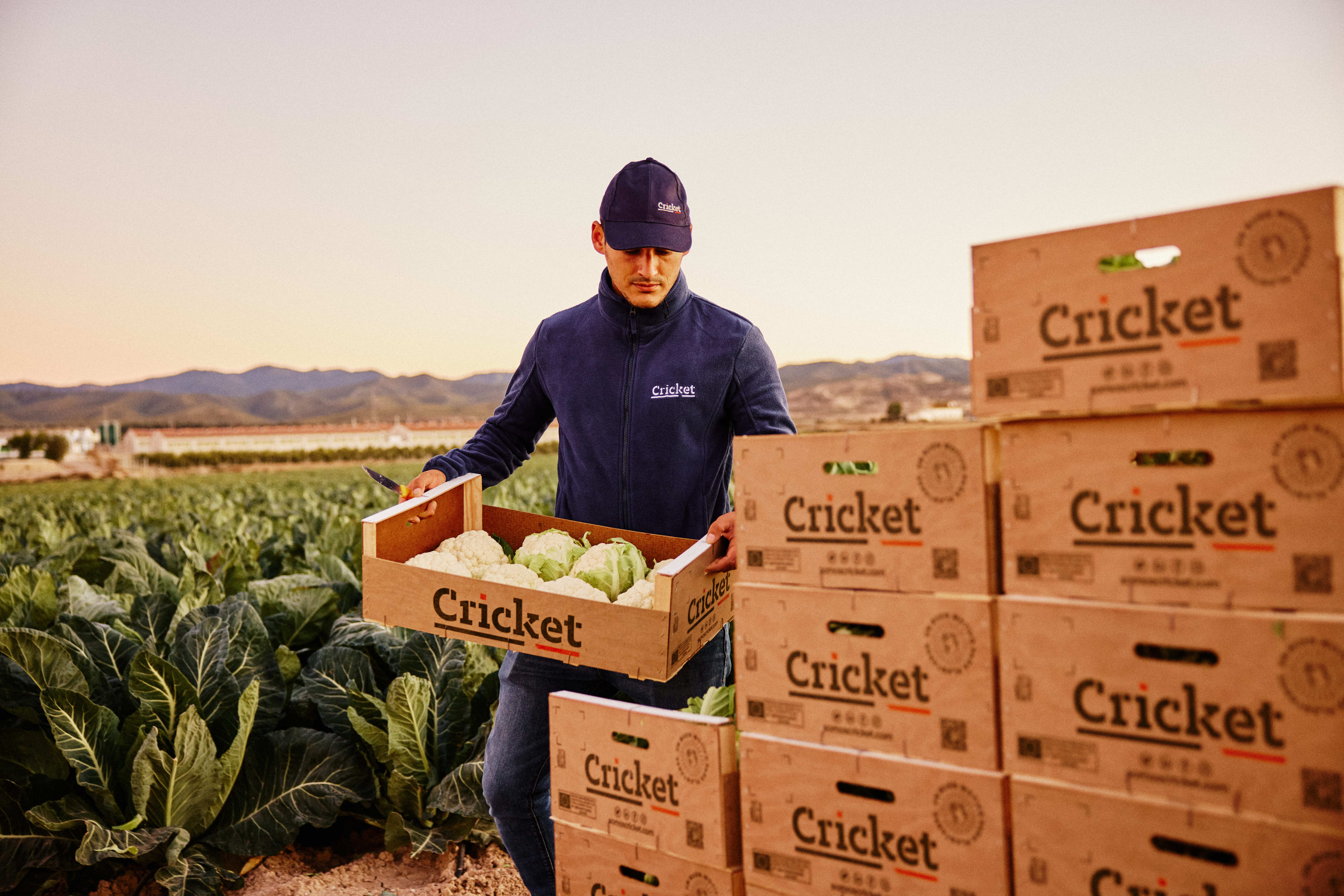 Cricket – a reliable brand for the future