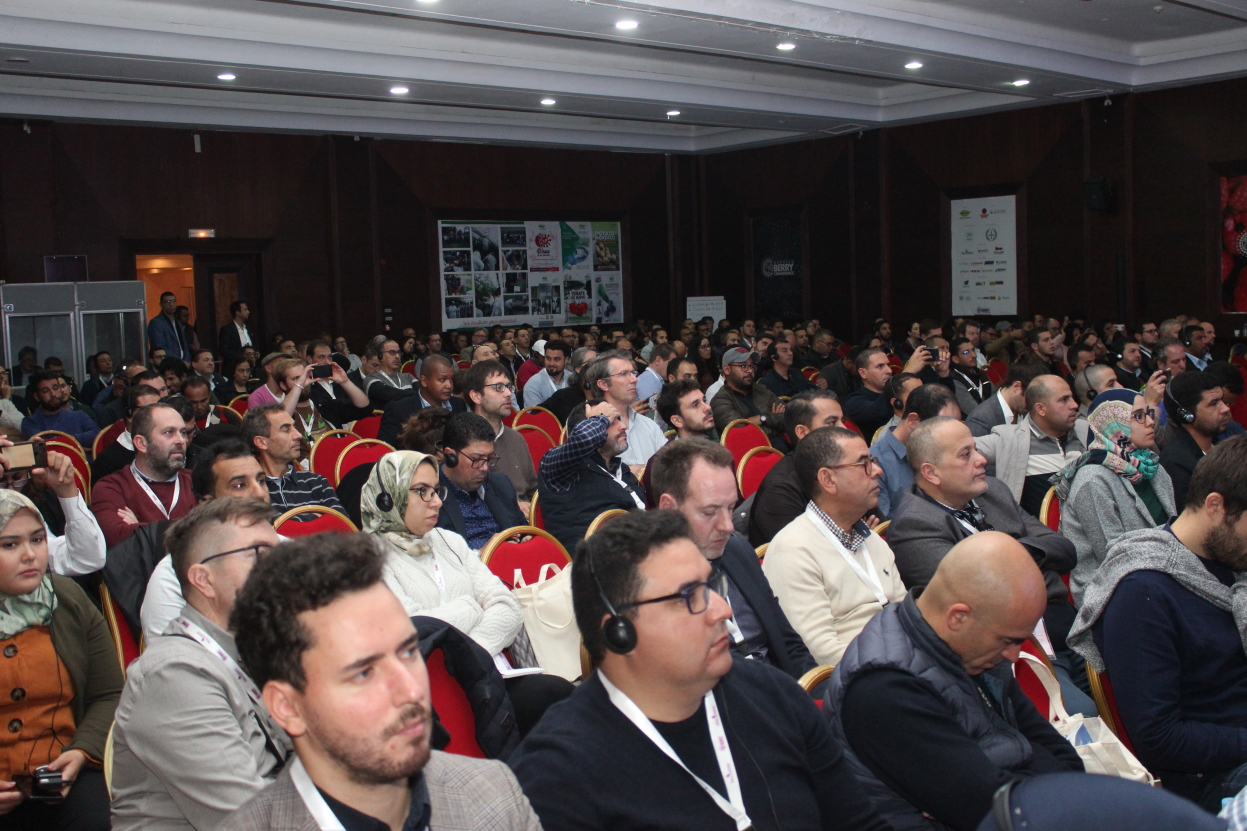The fourth edition of the Morocco Berry Conference is taking place on November 9th in Les Dunes d’Or congress hall in Agadir