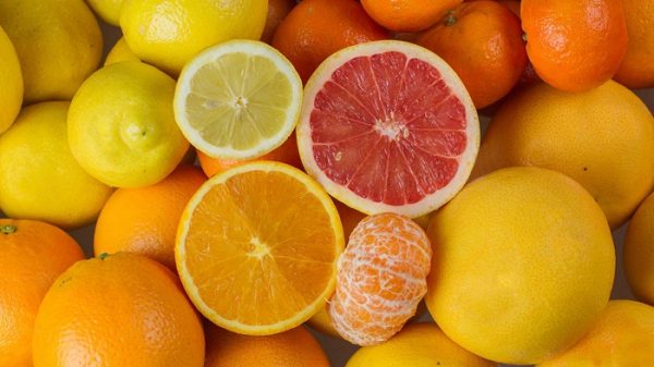 Bumper citrus crop boosts Chile’s exports