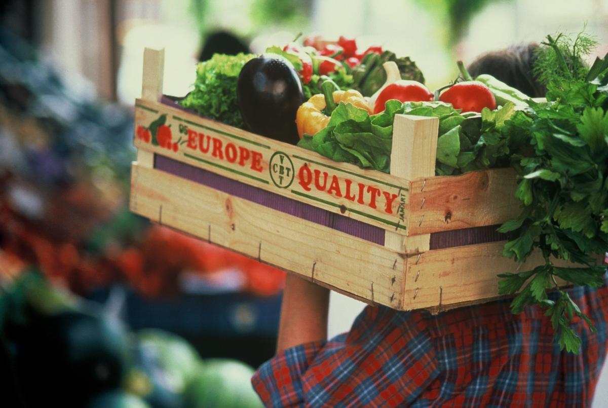 European Parliament adopts resolution in favour of food security