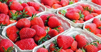 Strawberry shortages during Wimbledon fortnight