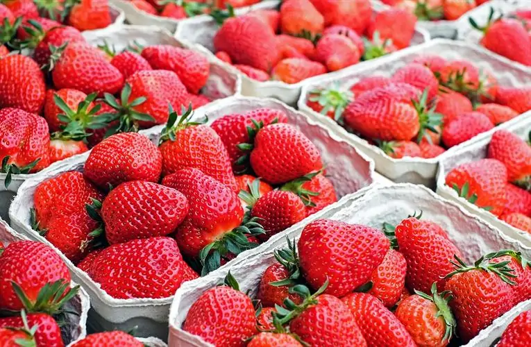 Strawberry shortages during Wimbledon fortnight Eurofresh Distribution