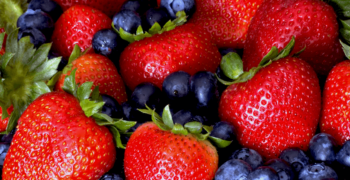 Spanish strawberry crop shrinks by 10%