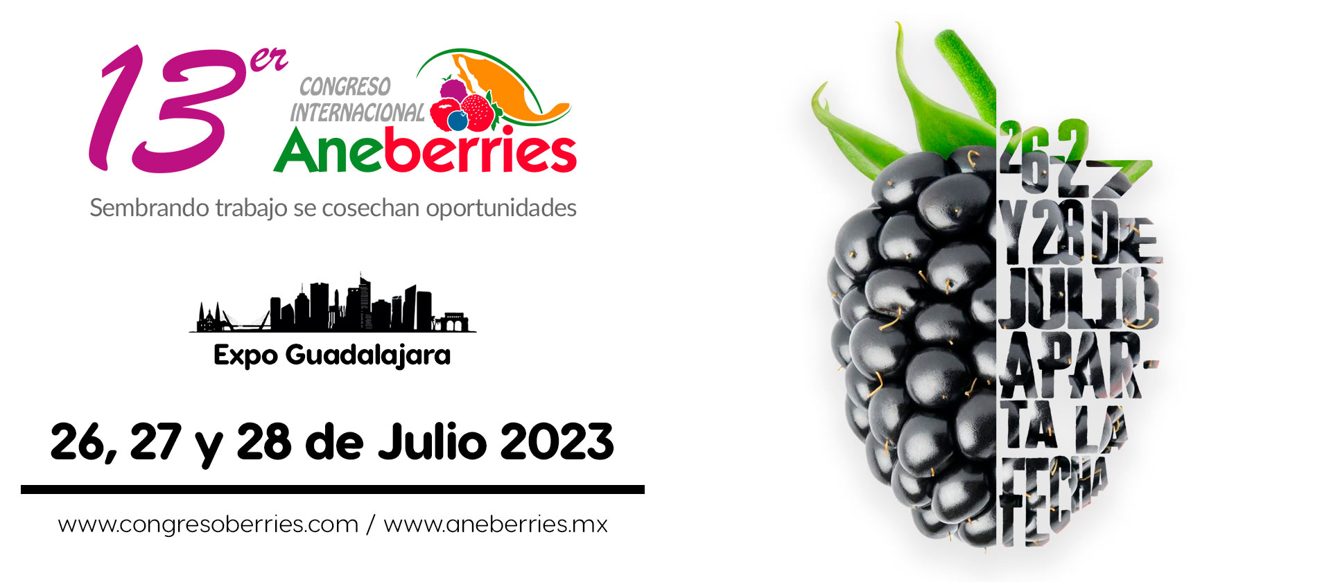 13th International Aneberries Congress set for July