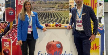 VOG Apples arrive in Latin America, and it’s an instant success