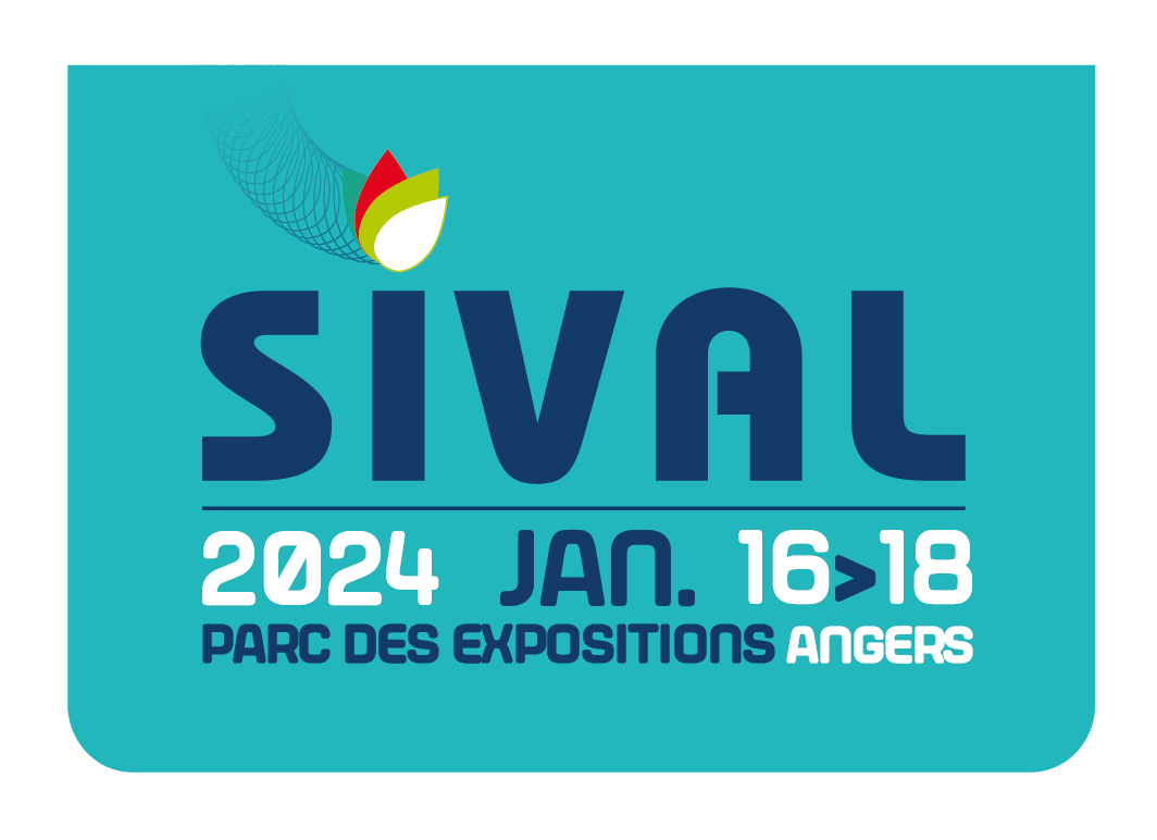 Sival, Angers 2024