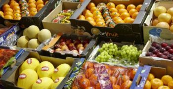 Contrasting views on UK’s border strategy for fresh produce