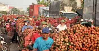 Calls for urgent overhaul of Vietnam’s agri logistics 